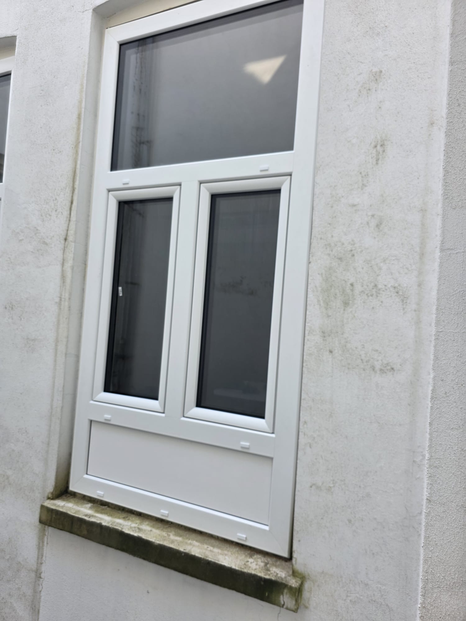 Rotterdam — IGLO Energy ramen — foto 3